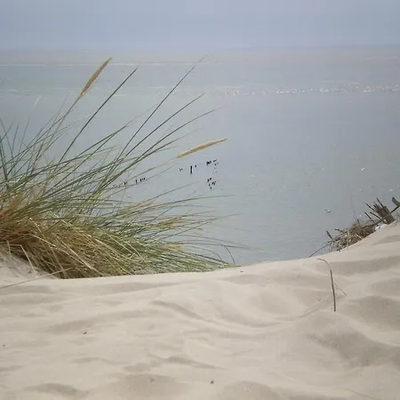 Apartment Loft Proche Plage Mahon *