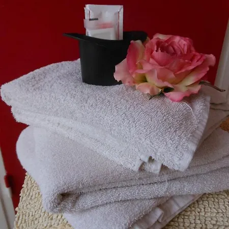 Loft Proche Plage Mahon Apartment *
